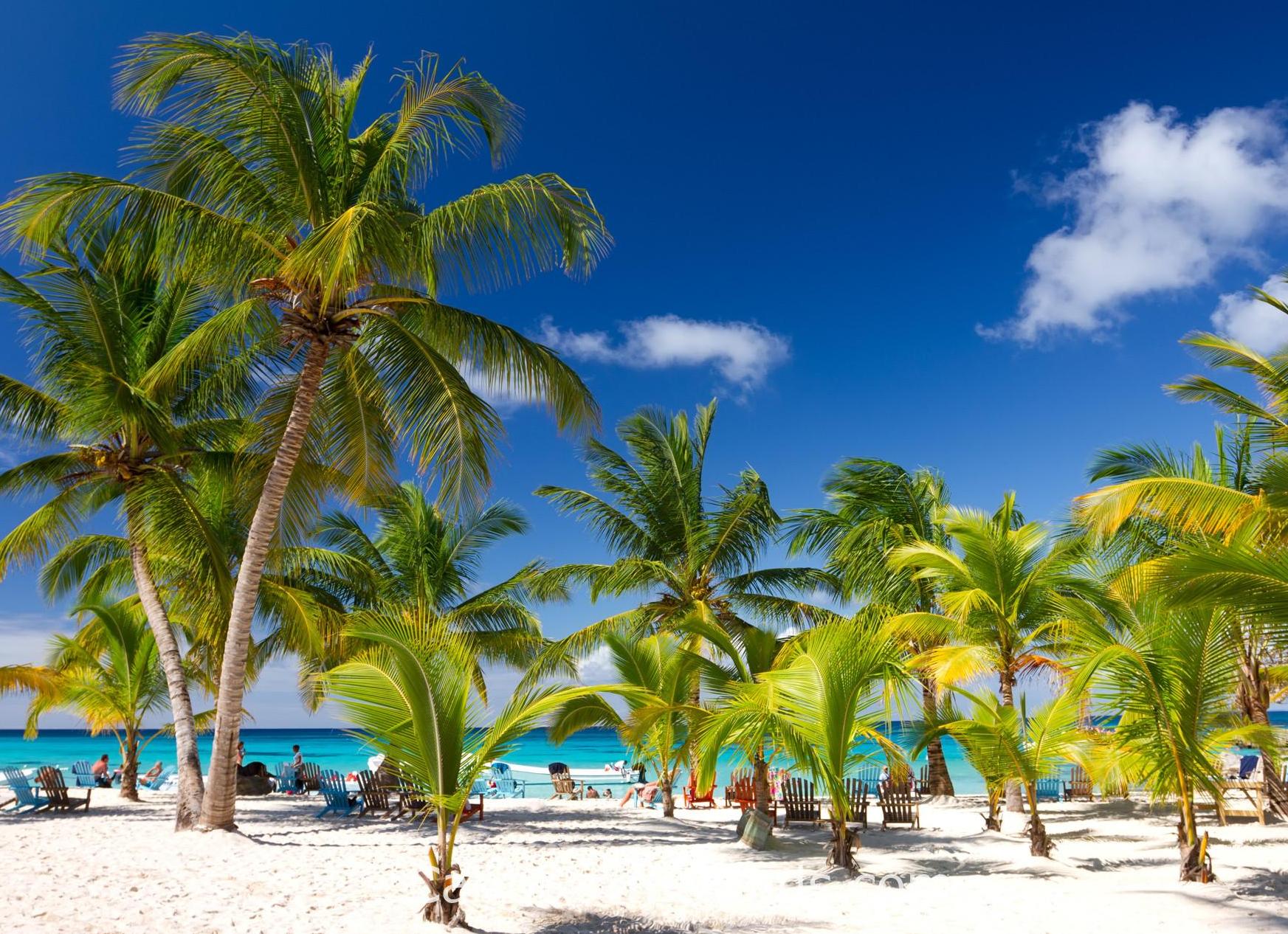 Доминиканская Республика: На суше и на море .(Мир Путешествий)