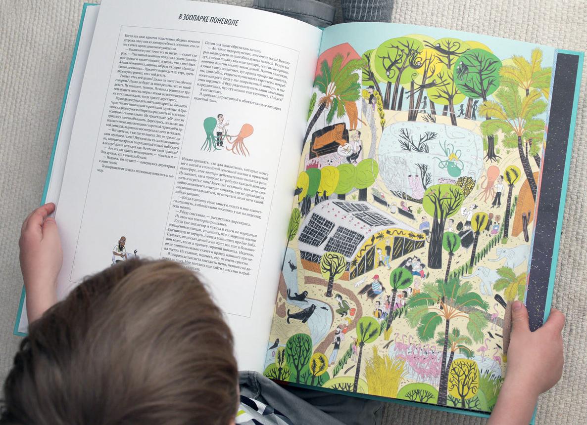 Фотография ворона, за которой я охотился два года