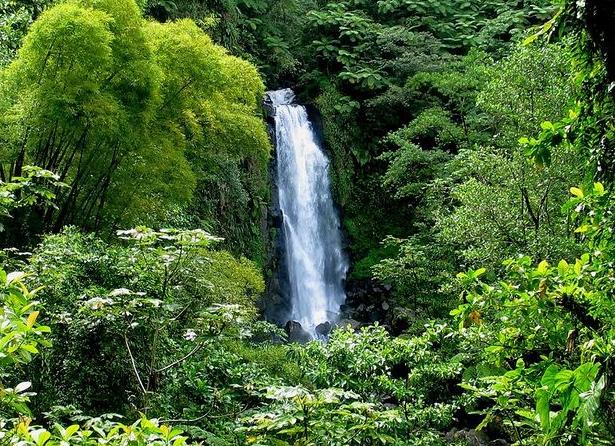 Трафальгарские водопады
