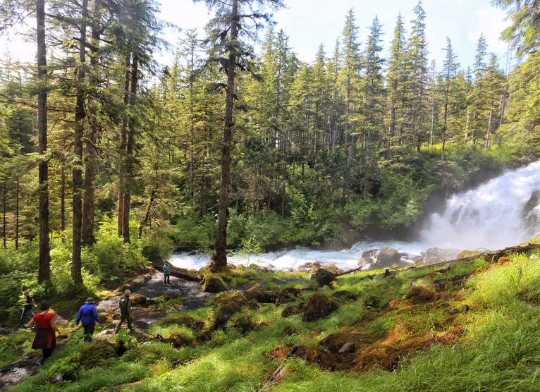 Малые Антильские острова. «Флора».Вокруг света!