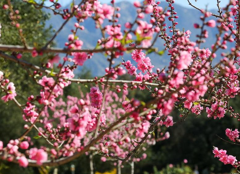 Топ-3 самых красивых пейзажа в Республике Алтай